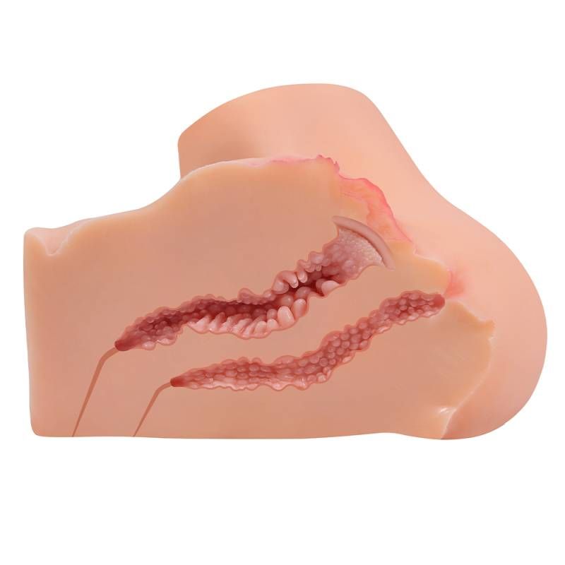 Onahole Pussy and Ass 1:1 Torso